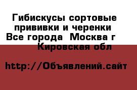 Гибискусы сортовые, прививки и черенки - Все города, Москва г.  »    . Кировская обл.